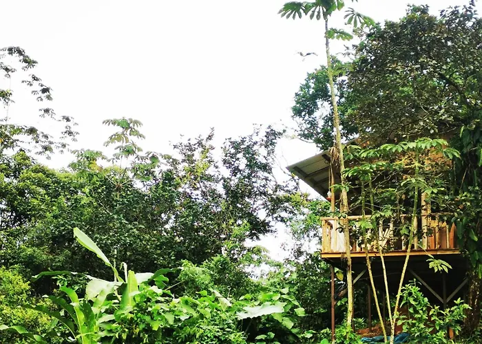 Papaya Lodge