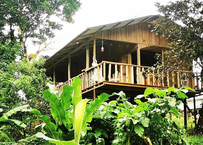 Papaya Lodge